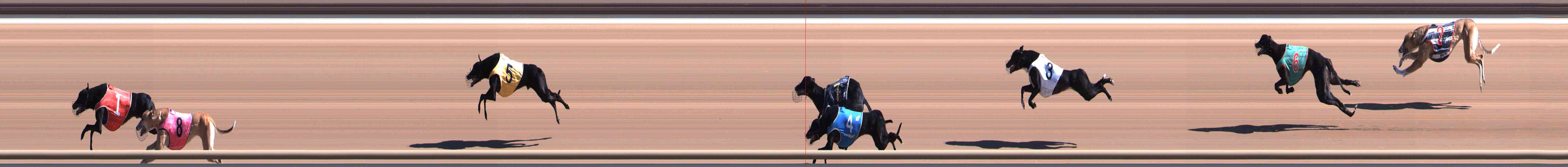 Race result finish photo